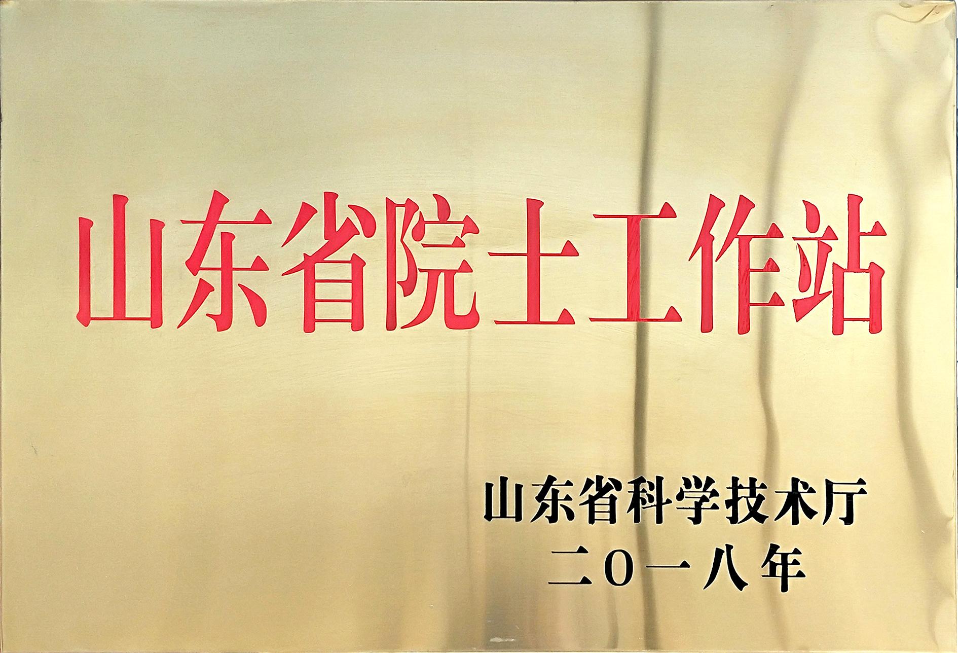 山东省院士工作站