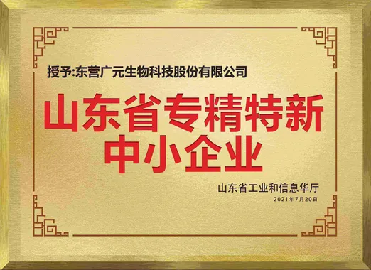 山东省专精特新中小企业