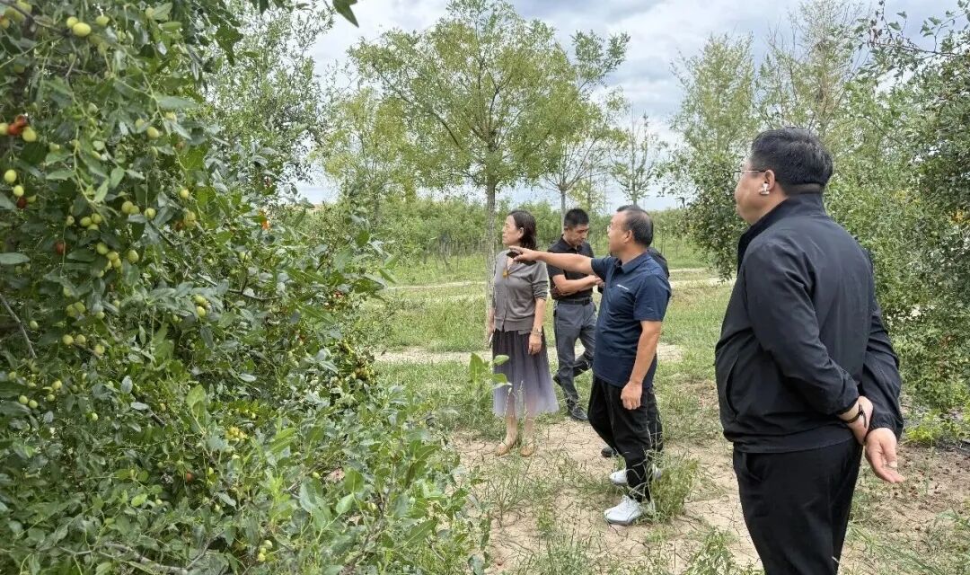 费县考察组莅临中昌元集团调研