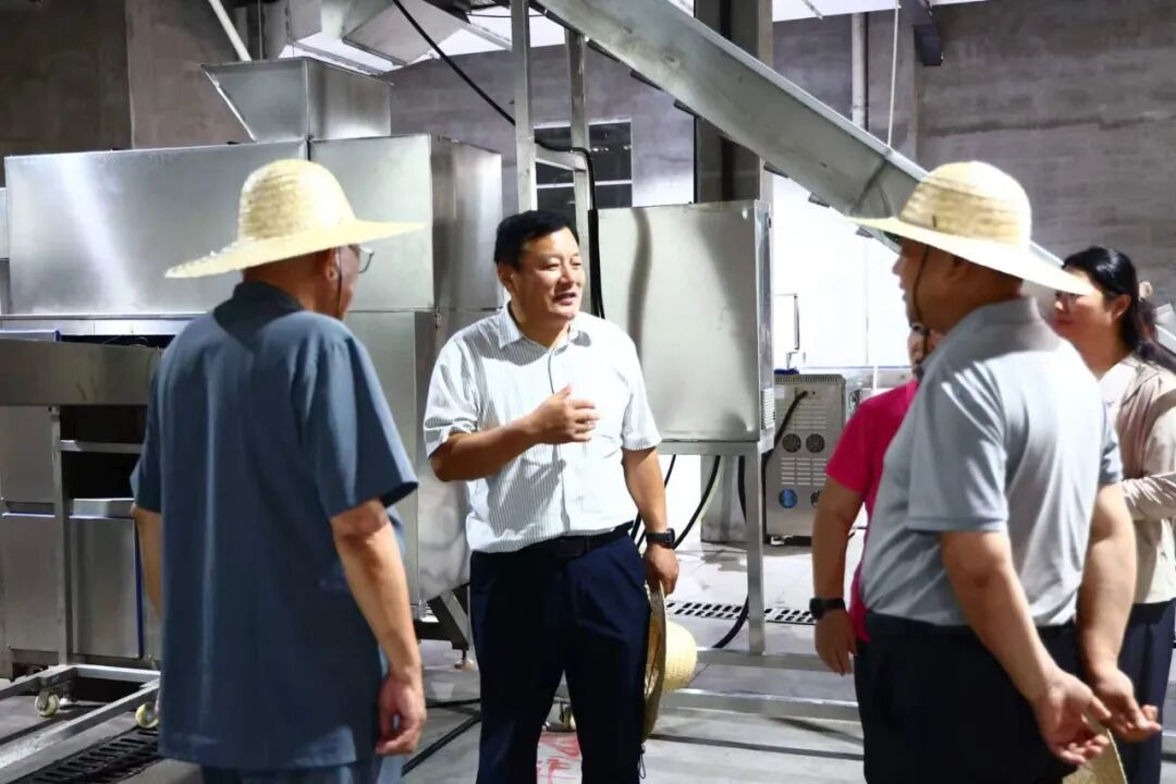 调研组实地走访