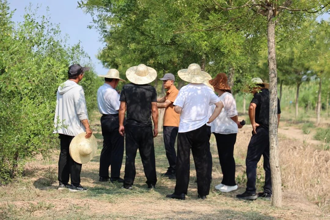 多方企业及领导莅临集团考察交流