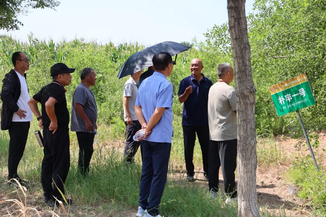内丘县酸枣产业考察交流 - 现场照片1