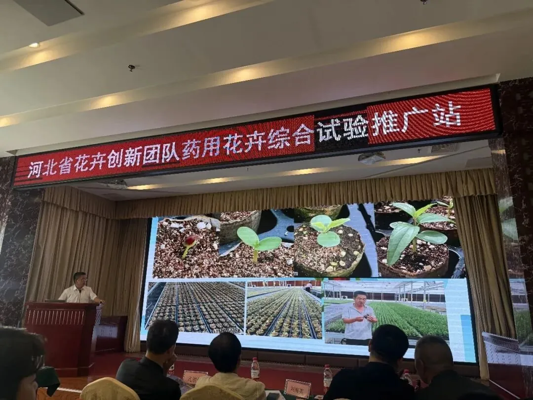 培训会现场授课